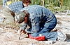 2-4-2011_004.jpg 2-4-2011_004.jpg