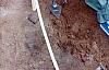2-4-2011_008.jpg 2-4-2011_008.jpg