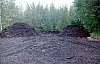 2-4-2011_011.jpg 2-4-2011_011.jpg