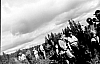 2-9-2011_013.jpg 2-9-2011_013.jpg