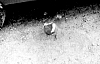2-9-2011_045.jpg 2-9-2011_045.jpg